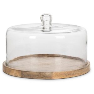 Large Covered Cheese/Cake Dome